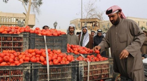 هل تقف إيران وراء وباء   الطماطم   الذي ضرب العراق؟