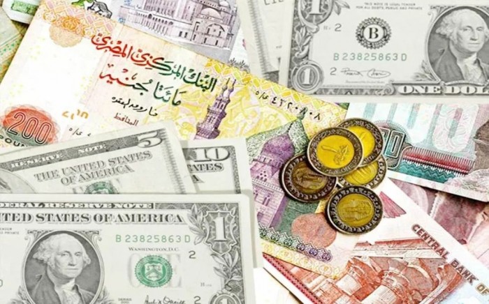 استقرار سعر صرف الدولار في مصر السبت 16 نوفمبر 2019