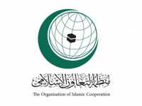 "التعاون الإسلامي" تدين التهديدات الحوثية للملاحة البحرية