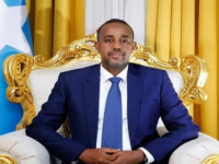 رئيس الوزراء الصومالي يُعين موسى وزيزًا للخارجية