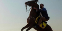 أحمد السقا يرقص بحصانه على أنغام "الغزالة رايقة"