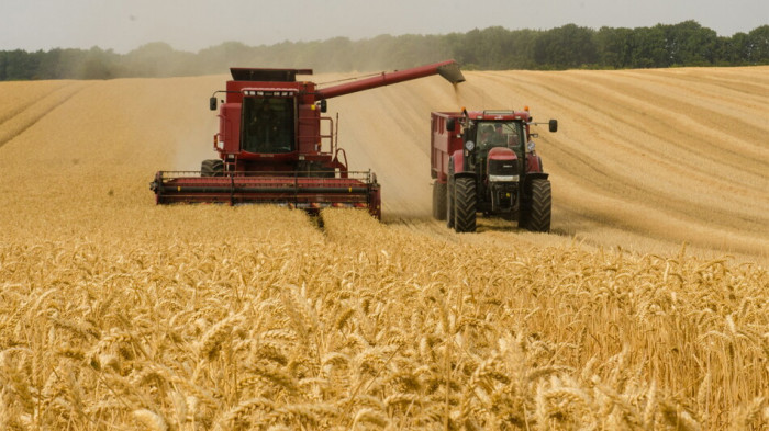 أوكرانيا تعلق تصدير سلع زراعية حيوية