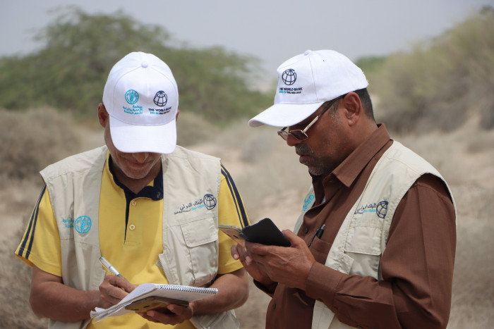 فاو تنشر فرق مراقبة أسراب الجراد