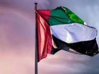 الإمارات تطالب بإنهاء الحصار الحوثي على تعز