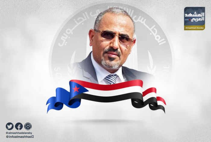 الرئيس الزُبيدي: ردع الحوثيين برا الخيار الأنجح وندين جرائم إسرائيل