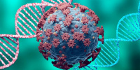 الصحة العالمية تطرح شبكة لرصد فيروسات كورونا الجديدة