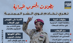 بطولات الجنوب الميدانية تعري تخادم قوى الشر اليمنية (إنفوجراف)
