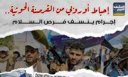 إحباط أوروبي من القرصنة الحوثية.. إجرام ينسف فرص السلام (إنفوجراف)