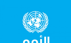 40 دولة تطالب الحوثي بالإفراج عن موظفي الأمم المتحدة