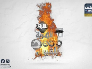 حرب الشائعات ضد الجنوب.. سلاح إخواني مأجور يستهدف ضرب الاستقرار