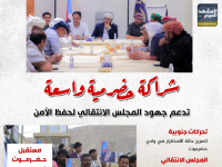 شراكة حضرمية واسعة تدعم جهود المجلس الانتقالي لحفظ الأمن (إنفوجراف)