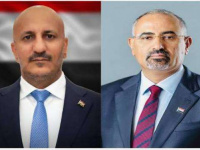 الرئيس الزُبيدي وطارق صالح يتفقان على وحدة المعركة بمواجهة الحوثي