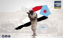 الجنوب ومكافحة الإرهاب.. رؤية ثابتة نحو شراكة تحقق الغايات