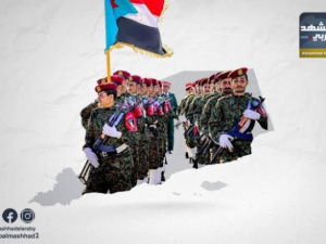 سياسة الحزم والحسم الجنوبية.. معركة شاملة لاجتثاث الإرهاب