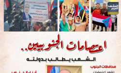 اعتصامات الجنوبيين.. الشعب يطالب بدولته (إنفوجراف)