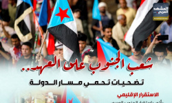 شعب الجنوب على العهد.. تضحيات تحمي مسار الدولة (إنفوجراف)