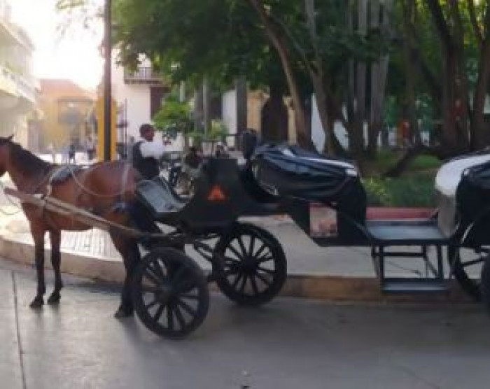 سلطات مدينة كارتاخينا الكولومبية السياحية تحظر عربات الخيول 