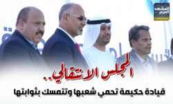 المجلس الانتقالي.. قيادة حكيمة تحمي شعبها وتتمسك بثوابتها (إنفوجراف)