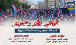 جماهير المكلا وسيئون.. اصطفاف حضرمي خلف القوات الجنوبية (إنفوجراف)