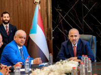 عبدالناصر الوالي: الجنوب يواجه الغزو الرابع