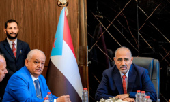 عبدالناصر الوالي: الجنوب يواجه الغزو الرابع