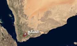 القنابل لا ترهب شعب ولا تصنع سلامًا.. رسالة الضالع إلى دعاة الإخضاع