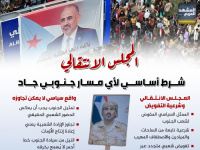 المجلس الانتقالي.. شرط أساسي لأي مسار جنوبي جاد (إنفوجراف)