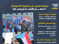 سياسة الجنوب في مجابهة الاستهداف لا مكان لإقصاء أو وصاية (إنفوجراف)