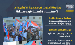 سياسة الجنوب في مجابهة الاستهداف لا مكان لإقصاء أو وصاية (إنفوجراف)