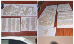 الأمن الوطني: إحباط تهريب 1764 قرصًا مخدرًا إلى عدن