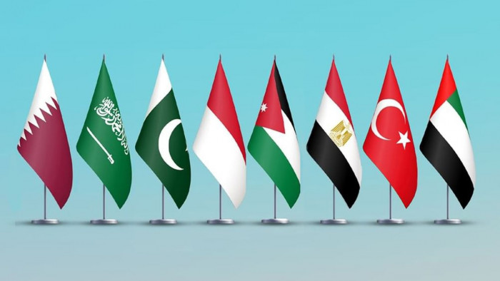 بيان مشترك لوزراء خارجية الإمارات وتركيا ومصر والأردن