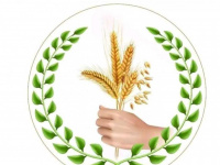 "الأعلى للمنظمات الجنوبية" يدين العنف المفرط ضد متظاهري شبوة