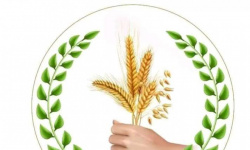 "الأعلى للمنظمات الجنوبية" يدين العنف المفرط ضد متظاهري شبوة