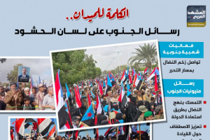 الكلمة للميدان.. رسائل الجنوب على لسان الحشود (إنفوجراف)