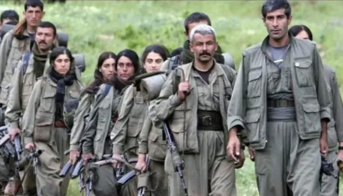 حزب العمال الكردستاني يرحب بموافقة لجنة تركية على خارطة طريق للسلام 