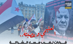 العليمي وعصبته.. قرارات لضرب مسار الشراكة (إنفوجراف)