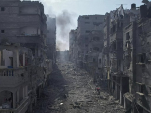 "لن أكون كبش فداء".. مقررة أممية ترفض الاستقالة