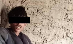 ضبط متهم بقتل أحد منتسبي "دفاع شبوة" في لودر