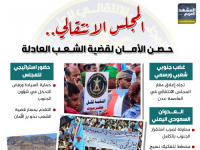 المجلس الانتقالي.. حصن الأمان لقضية الشعب العادلة (إنفوجراف)