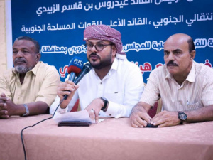 البيض: الحكومة الحالية "حكومة أمر واقع" وليست شراكة