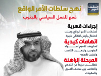 نهج سلطات الأمر الواقع.. قمع للعمل السياسي بالجنوب (إنفوجراف)