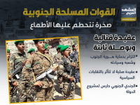 القوات المسلحة الجنوبية.. صخرة تتحطم عليها الأطماع (إنفوجراف)