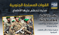 القوات المسلحة الجنوبية.. صخرة تتحطم عليها الأطماع (إنفوجراف)