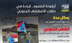 أيقونة الصمود.. قراءة في دلالات الاصطفاف الجنوبي (إنفوجراف)