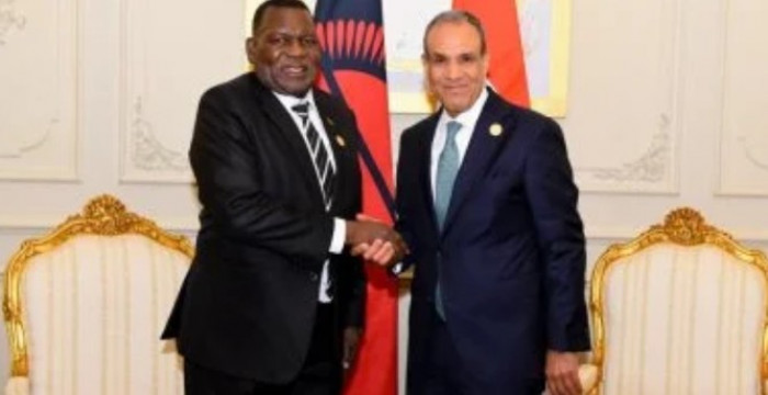وزير الخارجية المصري يبحث مع نظيره المالاوى تعزيز العلاقات الثنائية
