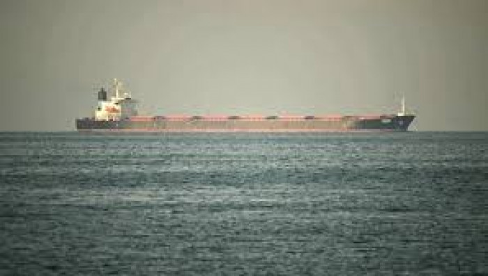 سفينة حاويات لمجموعة شحن فرنسية تعبر مضيق هرمز 