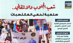 شعب الجنوب والانتقالي.. سلمية تحمي المكتسبات (إنفوجراف)