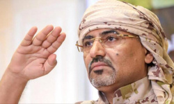 حضرموت تحتشد خلف عيدروس.. تلاحم حول الانتقالي والرئيس الزُبيدي