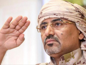 حضرموت تحتشد خلف عيدروس.. تلاحم حول الانتقالي والرئيس الزُبيدي