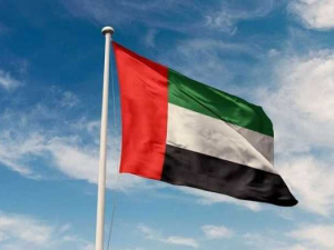 الإمارات: نأسف لإخفاق مجلس الأمن بشأن أمن الملاحة في مضيق هرمز